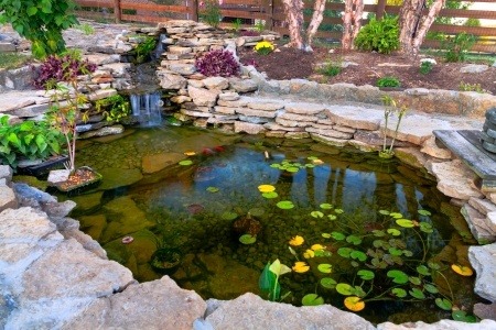 Backyard Koi Pond Construction Guide for Beginners and Enthusiasts